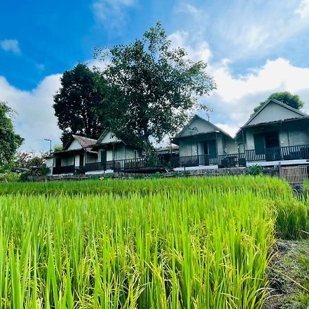 Hotel Krathom Doi Luang Chiang Dao Exteriér fotografie