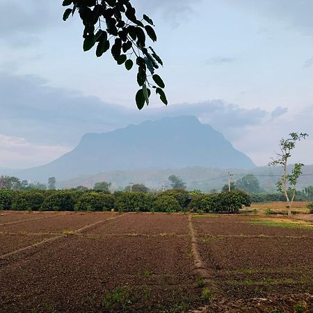 Hotel Krathom Doi Luang Chiang Dao Exteriér fotografie
