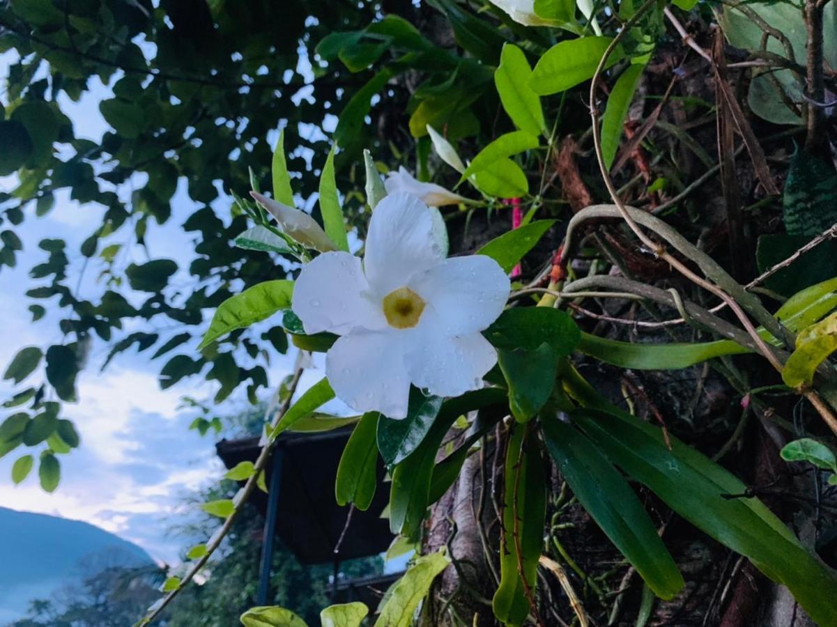 Hotel Krathom Doi Luang Chiang Dao Exteriér fotografie