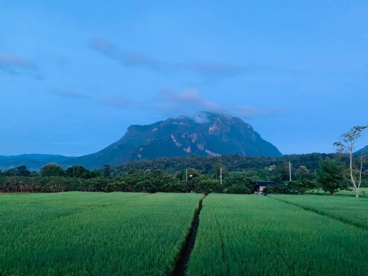 Hotel Krathom Doi Luang Chiang Dao Exteriér fotografie