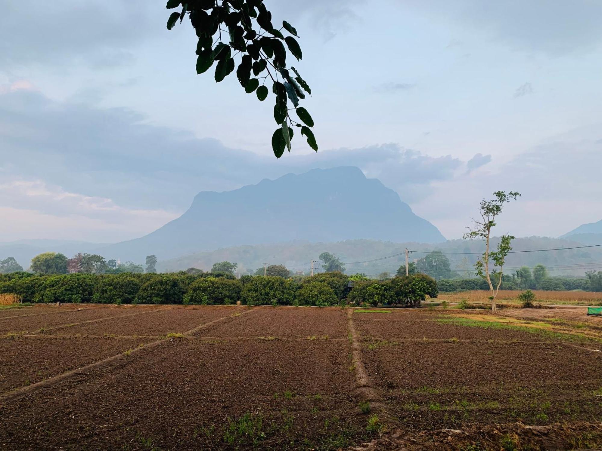 Hotel Krathom Doi Luang Chiang Dao Exteriér fotografie