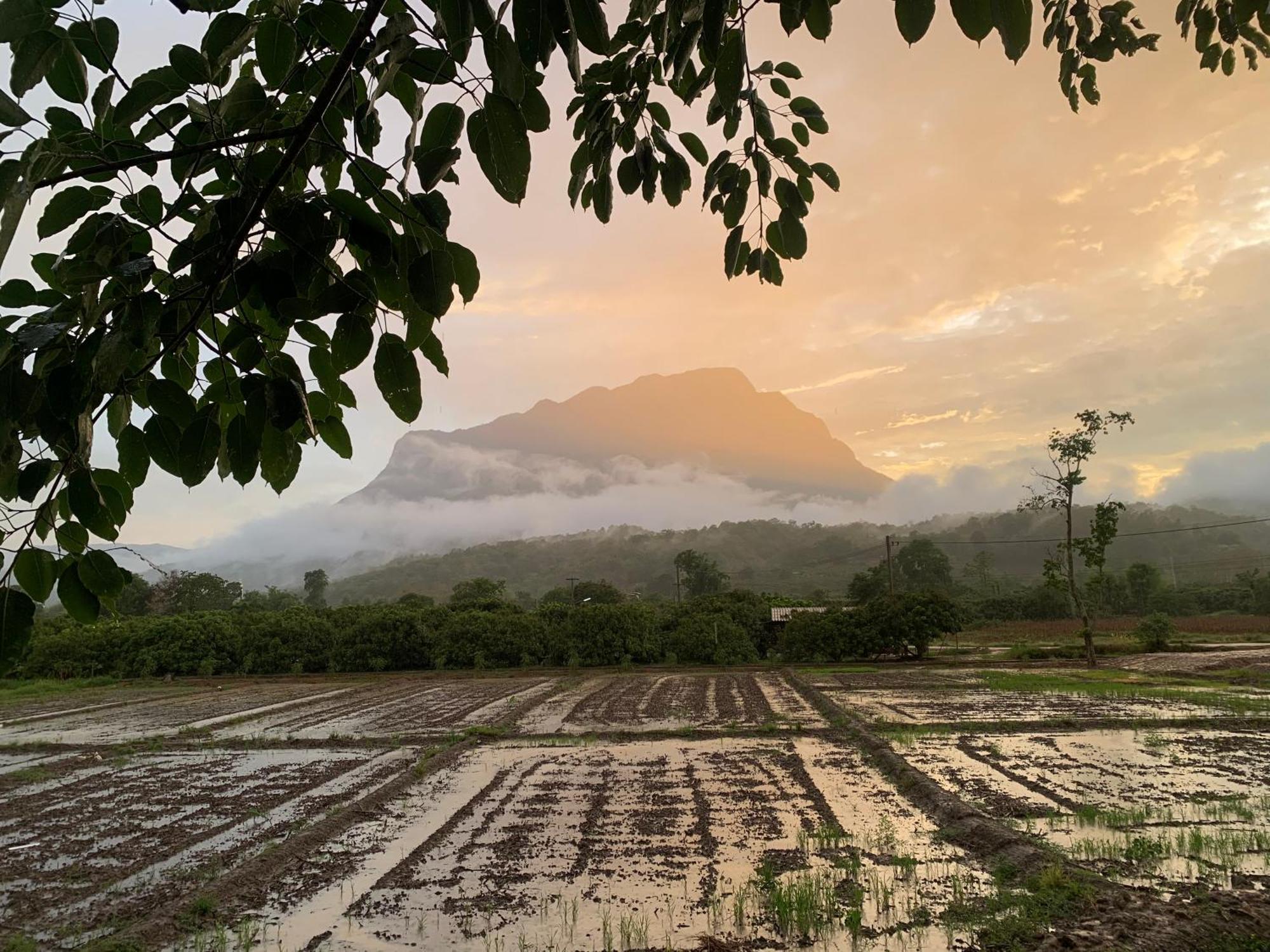 Hotel Krathom Doi Luang Chiang Dao Exteriér fotografie